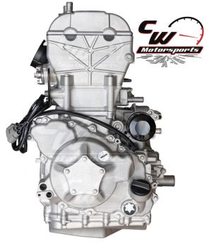 CW Motorsports Engine for Kawasaki KRX 1000