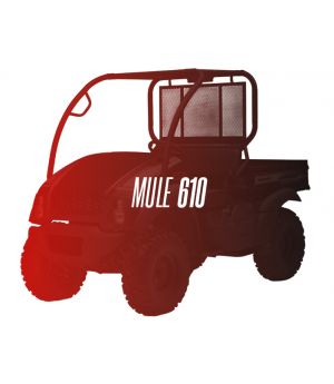 CW Motorsports Engine for Kawasaki MULE 610 400