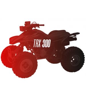 CW Motorsports Engine for Honda TRX 300