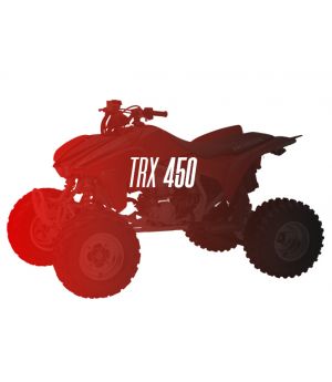CW Motorsports Engine for Honda TRX 450