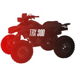 CW Motorsports Engine for Honda TRX 300