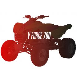 CW Motorsports Engine for Kawasaki PRAIRIE/VFORCE 700