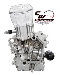 CW Motorsports Engine for Polaris RGR/RZR/ACE 570