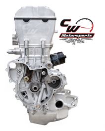 CW Motorsports Engine for Polaris ACE/RGR/RZR 900
