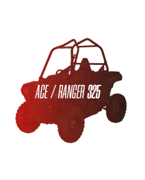 CW Motorsports Engine for Polaris RGR/ACE 325