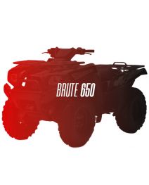 CW Motorsports Engine for Kawasaki BRUTE/PRAIRIE 650