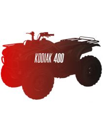 CW Motorsports Engine for Yamaha GRIZZLY/KODIAK 400