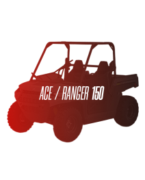 CW Motorsports Engine for Polaris RGR/ACE 150