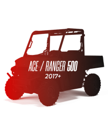 CW Motorsports Engine for Polaris RGR/ACE New 500 17' & LATER