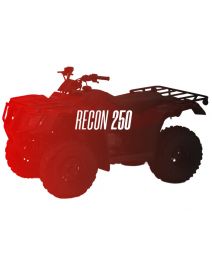 CW Motorsports Engine for Honda RECON/TRX 250