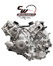 CW Motorsports Engine for Kawasaki TERYX 800