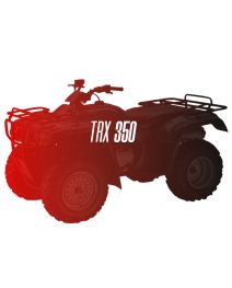 CW Motorsports Engine for Honda TRX 350