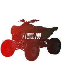 CW Motorsports Engine for Kawasaki PRAIRIE/VFORCE 700