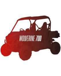 CW Motorsports Engine for Yamaha WOLVERINE/VIKING 700