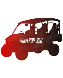 CW Motorsports Engine for Yamaha WOLVERINE 850