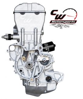 CW Motorsports Engine for Polaris 14'-23' RZR XP1000