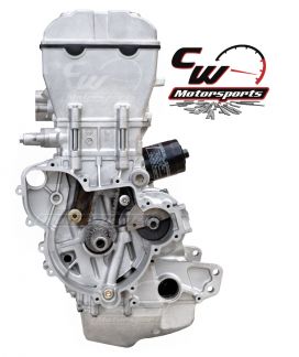 CW Motorsports Engine for Polaris ACE/RGR/RZR 900