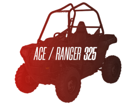 CW Motorsports Engine for Polaris RGR/ACE 325