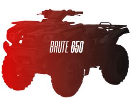 CW Motorsports Engine for Kawasaki BRUTE/PRAIRIE 650