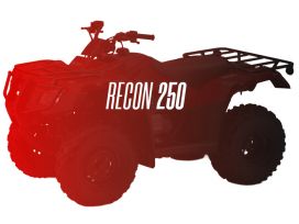 CW Motorsports Engine for Honda RECON/TRX 250