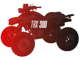 CW Motorsports Engine for Honda TRX 300