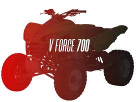 CW Motorsports Engine for Kawasaki PRAIRIE/VFORCE 700