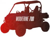 CW Motorsports Engine for Yamaha WOLVERINE/VIKING 700