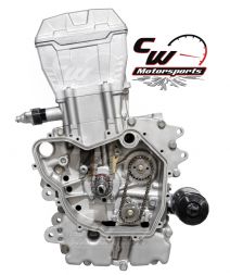 CW Motorsports Engine for Polaris RGR/RZR/ACE 570