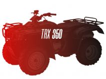 CW Motorsports Engine for Honda TRX 350