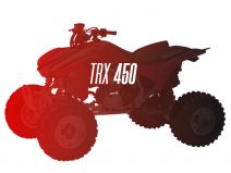 CW Motorsports Engine for Honda TRX 450