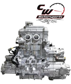 CW Motorsports Engine for Honda PIONEER 1000