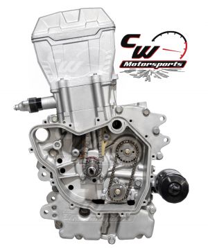 CW Motorsports Engine for Polaris RGR/RZR/ACE 570