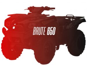 CW Motorsports Engine for Kawasaki BRUTE/PRAIRIE 650