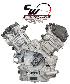CW Motorsports Engine for Can-Am ALL V-TWIN