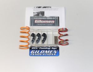 Gilomen Innovations - Blackmax Adjustable Clutch Kit - 2013 Ranger 900