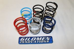 Gilomen Innovations - Primary Clutch Spring P90 & P90X
