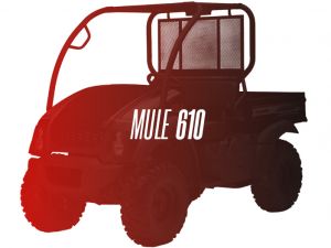 CW Motorsports Engine for Kawasaki MULE 610 400