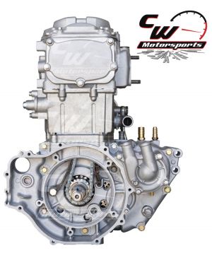 CW Motorsports Engine for Polaris SPORTSMAN/RGR Old 500 13' & EARLIER