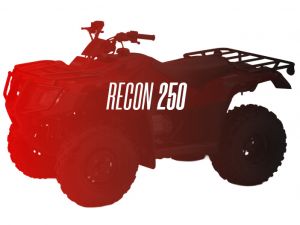 CW Motorsports Engine for Honda RECON/TRX 250