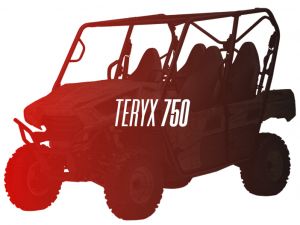 CW Motorsports Engine for Kawasaki TERYX/BRUTE/PRAIRIE 750