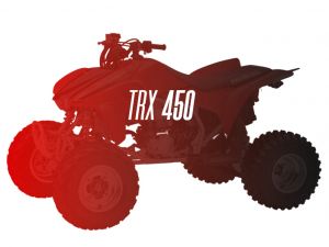 CW Motorsports Engine for Honda TRX 450