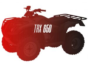 CW Motorsports Engine for Honda TRX 650