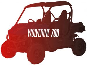 CW Motorsports Engine for Yamaha WOLVERINE/VIKING 700