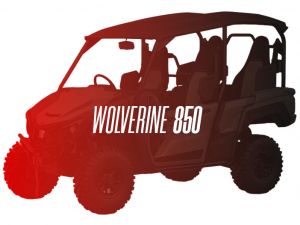 CW Motorsports Engine for Yamaha WOLVERINE 850