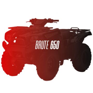 CW Motorsports Engine for Kawasaki BRUTE/PRAIRIE 650