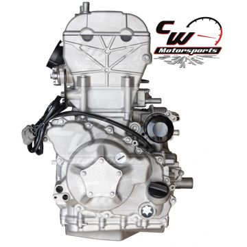 CW Motorsports Engine for Kawasaki KRX 1000