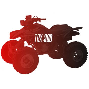 CW Motorsports Engine for Honda TRX 300