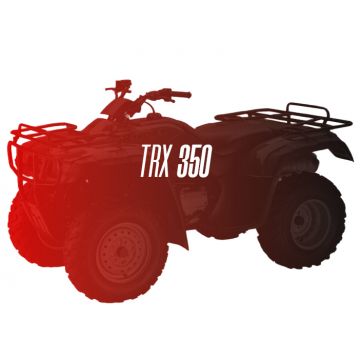 CW Motorsports Engine for Honda TRX 350