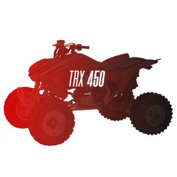 CW Motorsports Engine for Honda TRX 450