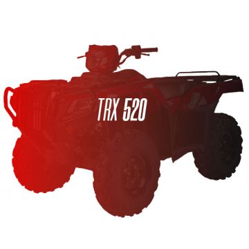 CW Motorsports Engine for Honda TRX 520